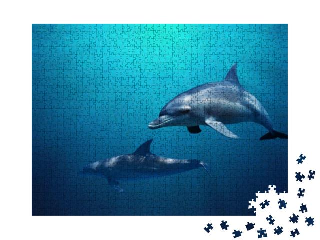 Fantastic Detail in the Deep Clear Blue Water. Two Dolphi... Jigsaw Puzzle with 1000 pieces