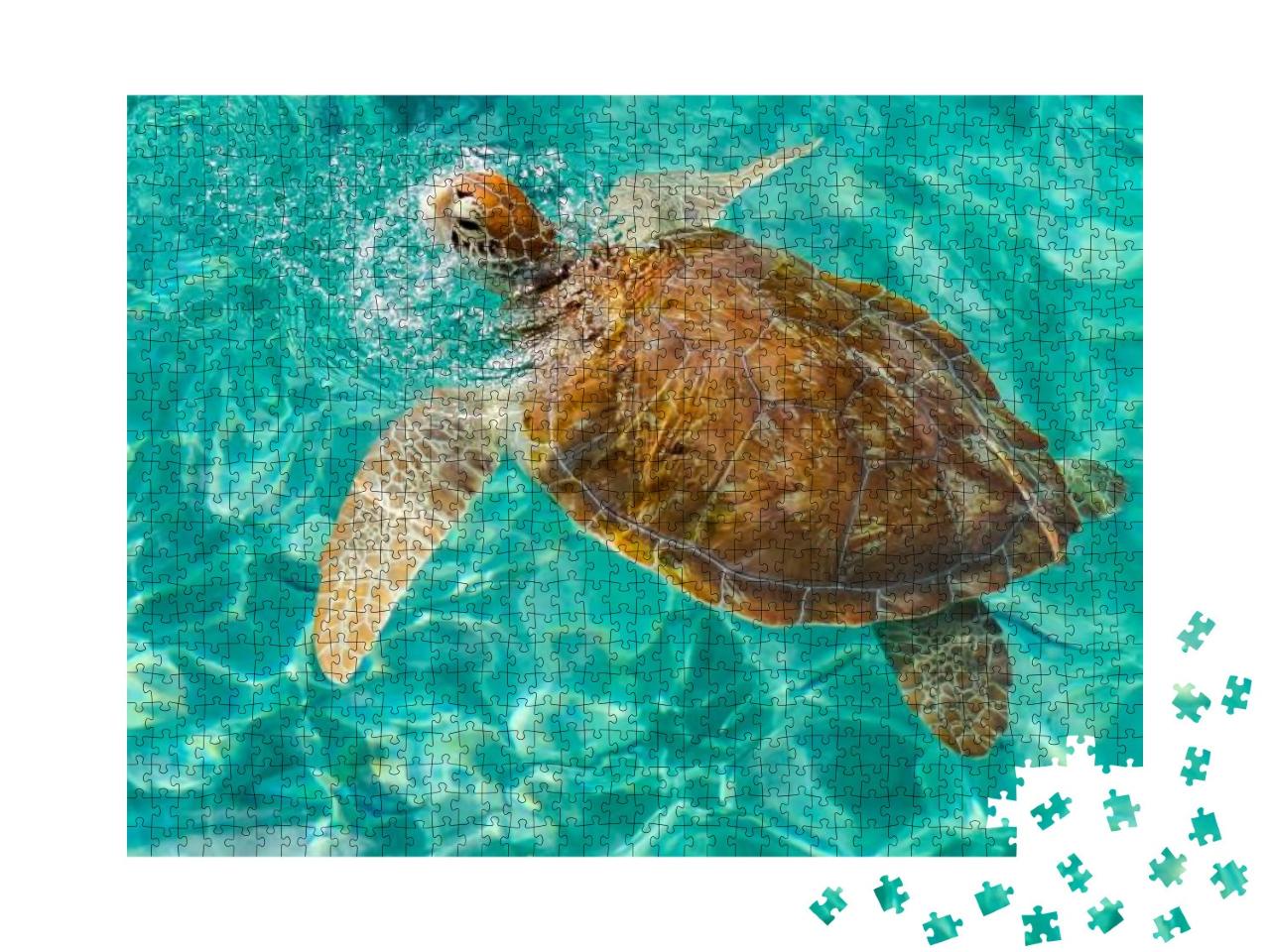 Westpunt Turtle Swimming Views Around the Caribbean Islan... Jigsaw Puzzle with 1000 pieces