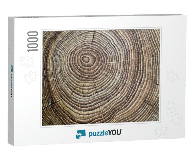 Painted Brown Wooden Annual Rings... Jigsaw Puzzle with 1000 pieces