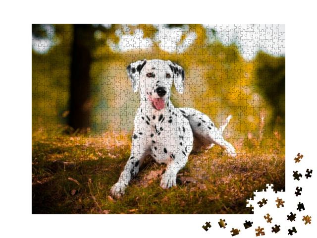 Dalmatian in Grass Black & White Dog... Jigsaw Puzzle with 1000 pieces