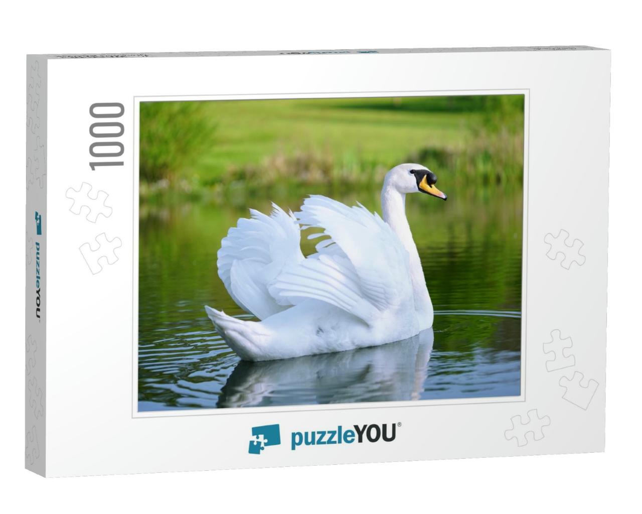 Lake with a White Swan... Jigsaw Puzzle with 1000 pieces