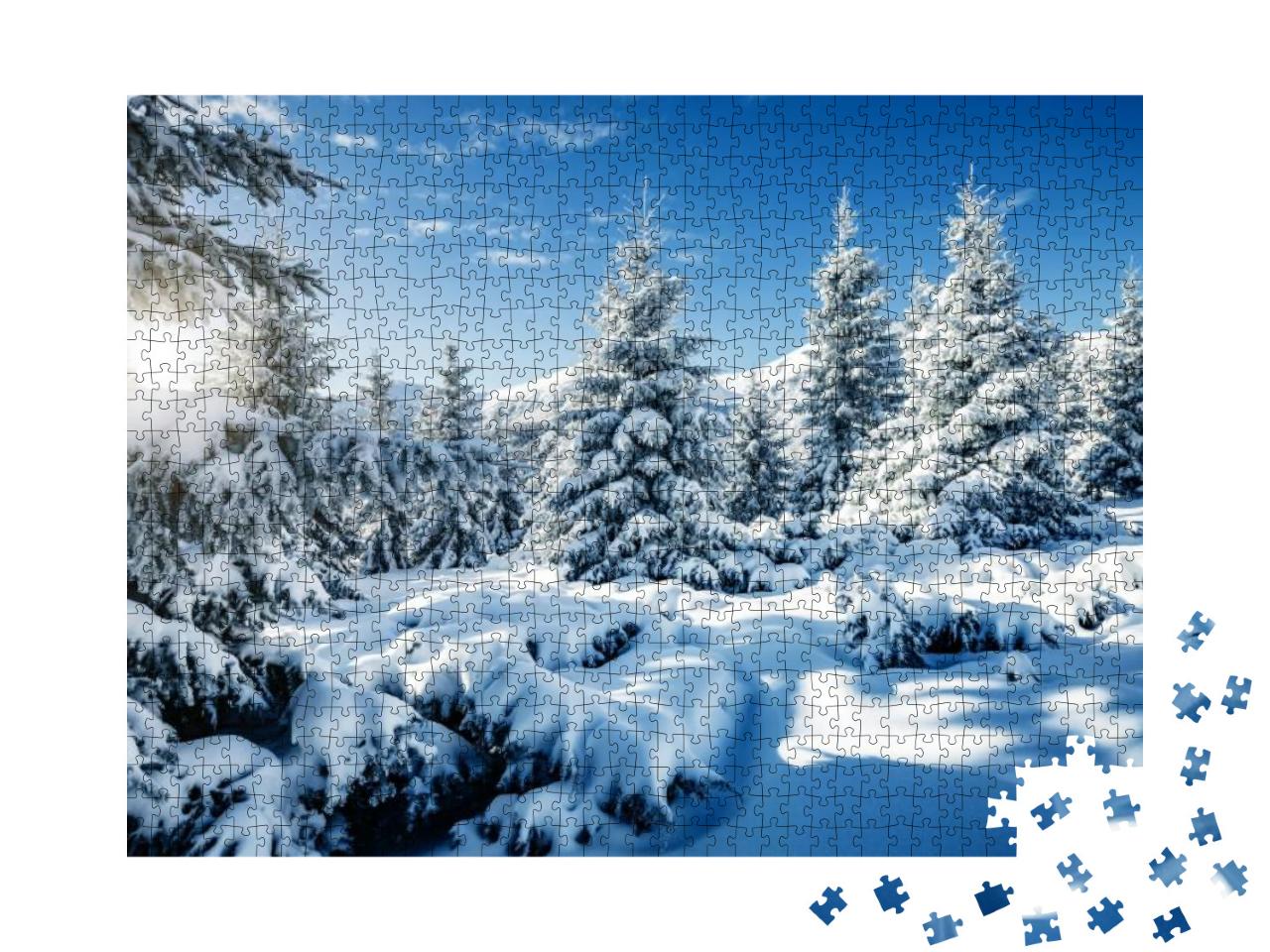 Majestic White Spruces Glowing by Sunlight. Picturesque &... Jigsaw Puzzle with 1000 pieces