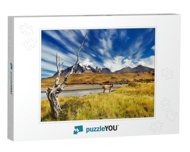 Torres Del Paine National Park, Patagonia, Chile... Jigsaw Puzzle