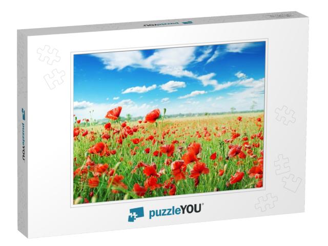 Poppies on Green Field... Jigsaw Puzzle