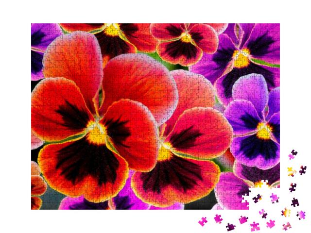 Multicolor Pansy Flowers or Pansies Viola, Heartsease Bac... Jigsaw Puzzle with 1000 pieces