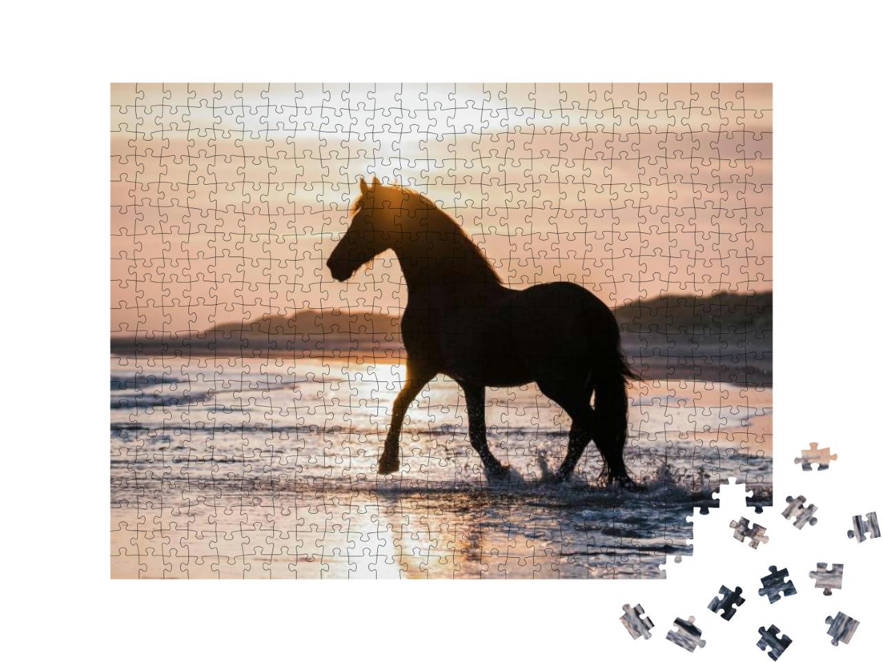 Black Horse Trotting Free At the Beach... Jigsaw Puzzle with 500 pieces