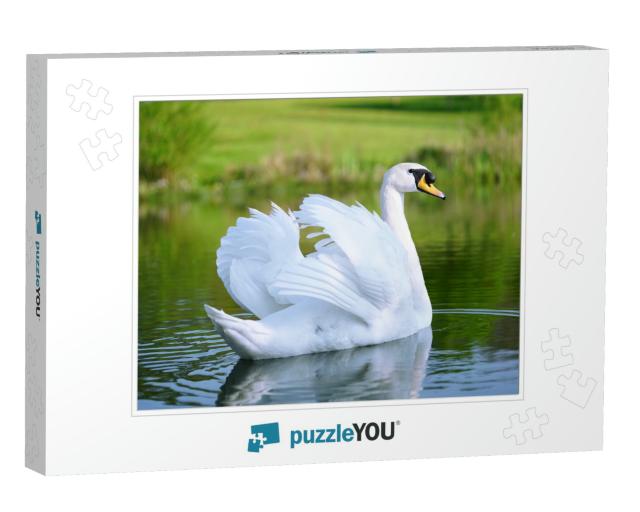 Lake with a White Swan... Jigsaw Puzzle