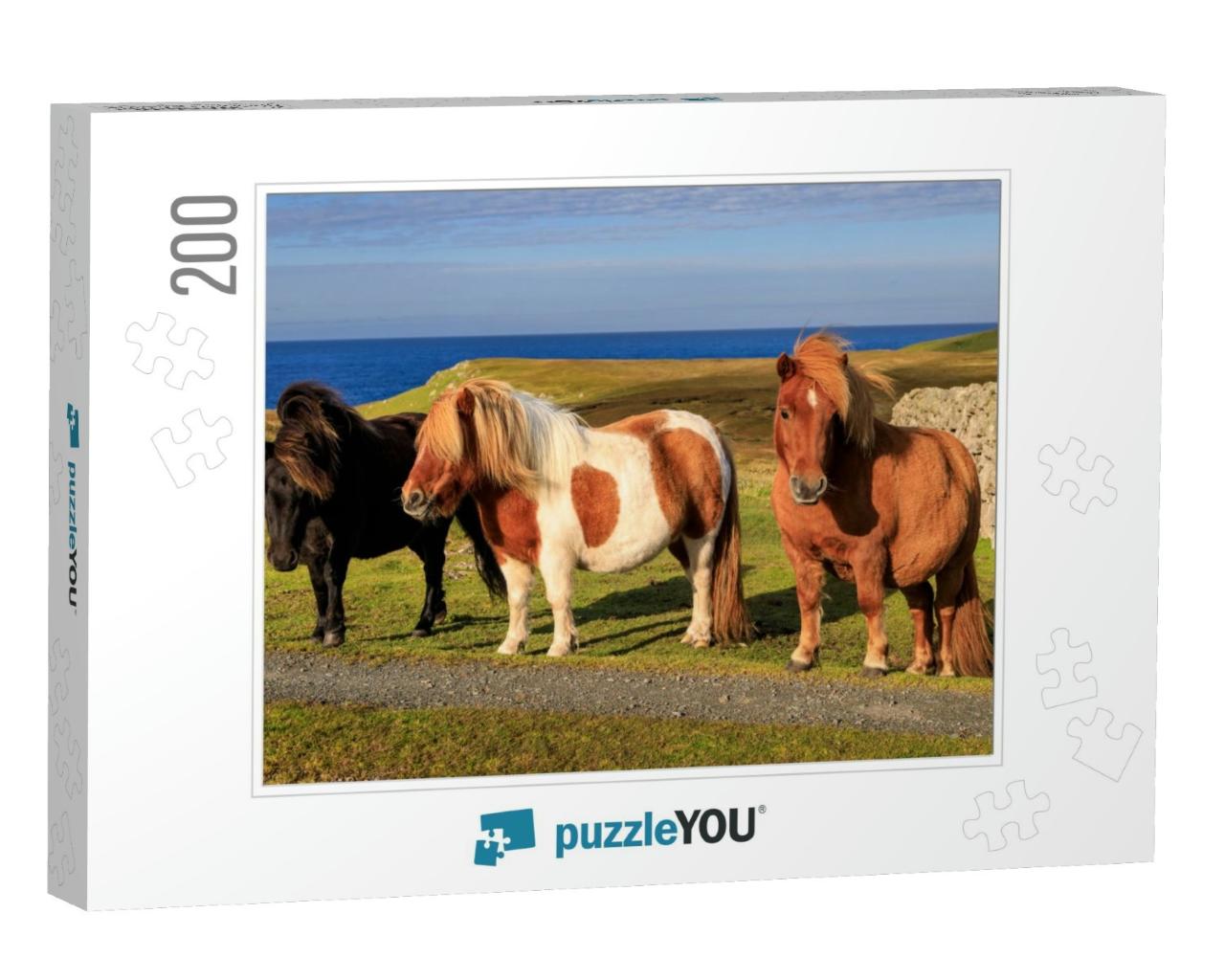 Three Windswept Shetland Ponies, a World Famous Unique &... Jigsaw Puzzle with 200 pieces