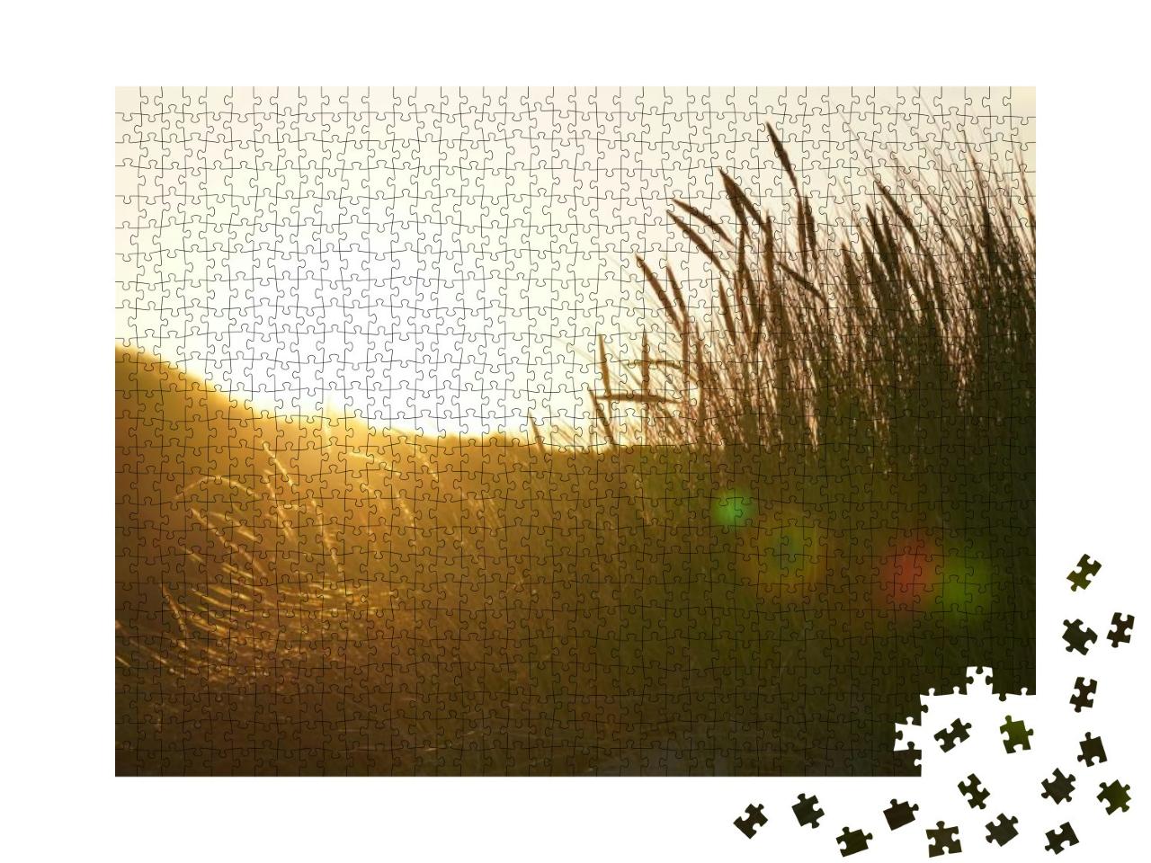 Sunset in the Dunes of Juist. High Quality Photo... Jigsaw Puzzle with 1000 pieces