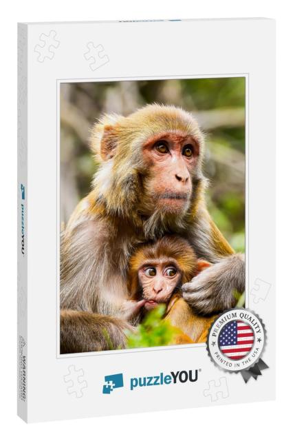 Monkey Mother with Baby Portrait... Jigsaw Puzzle