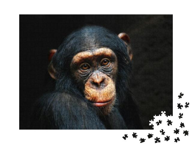 Chimpanzee Portrait... Jigsaw Puzzle with 1000 pieces