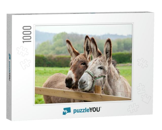 Family of Donkeys Outdoors in Spring. Couple of Donkeys o... Jigsaw Puzzle with 1000 pieces