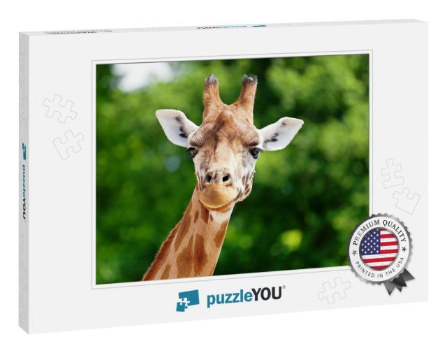 Close-Up of a Giraffe in Front of Some Green Trees, Looki... Jigsaw Puzzle