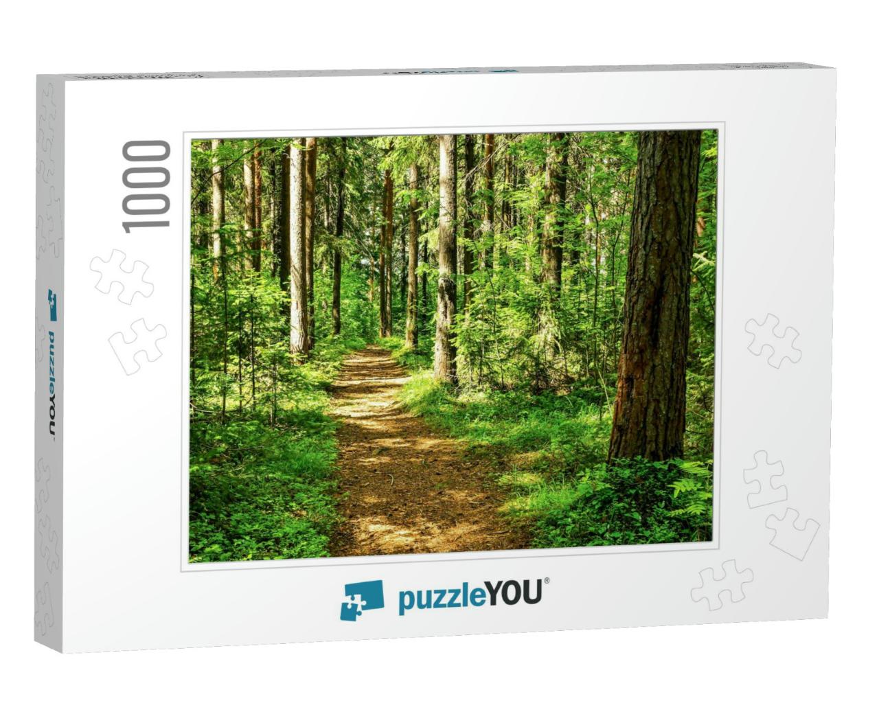 Forest Trail Scene. Woodland Path... Jigsaw Puzzle with 1000 pieces