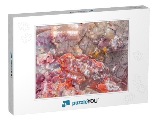 Petrified Trees Within the Petrified Forest National Park... Jigsaw Puzzle