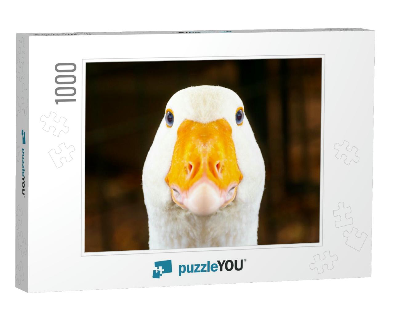 Portrait of a White Geese with an Orange Beak. Breeding P... Jigsaw Puzzle with 1000 pieces