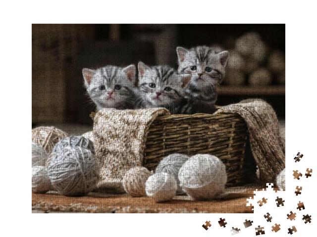 Group of Small Striped Kittens in an Old Basket with Ball... Jigsaw Puzzle with 1000 pieces