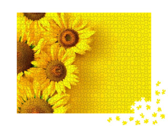 Sunflowers on a Yellow Background with Copy Space. Floral... Jigsaw Puzzle with 1000 pieces