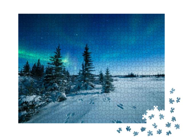 Snowshoe Hare Tracks & the Aurora Borealis... Jigsaw Puzzle with 1000 pieces