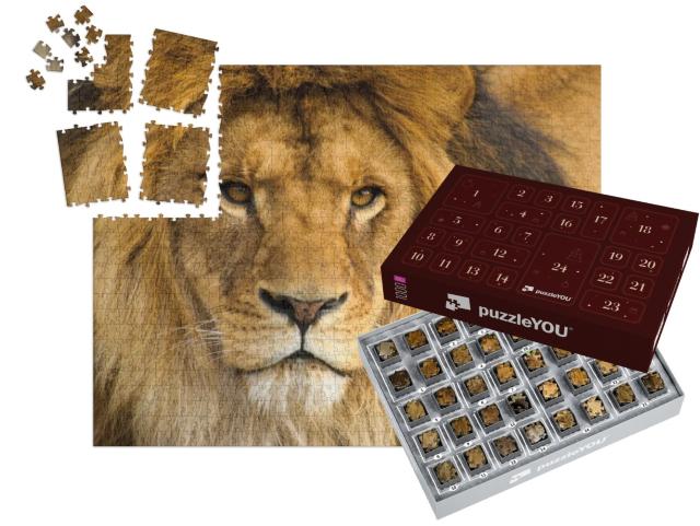 Beautiful Mighty Lion... | Advent Calendar Jigsaw Puzzle