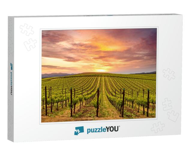 Beautiful Sunset Sky in Napa Valley Wine Country on Sprin... Jigsaw Puzzle