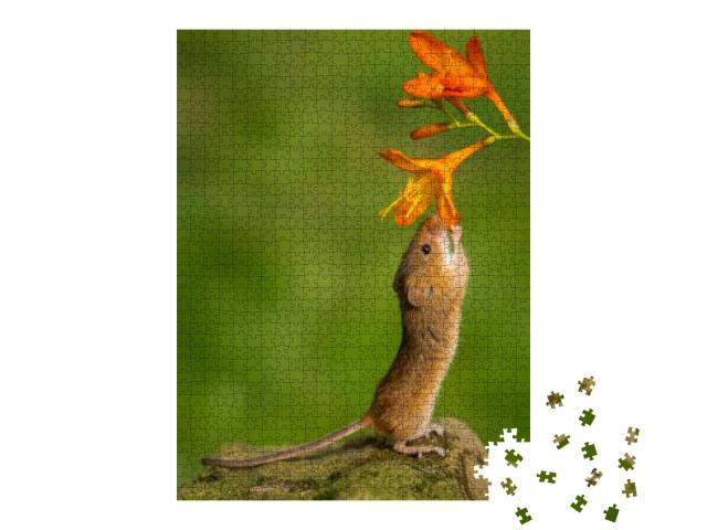 Harvest Mouse Smelling the Flowers... Jigsaw Puzzle with 1000 pieces