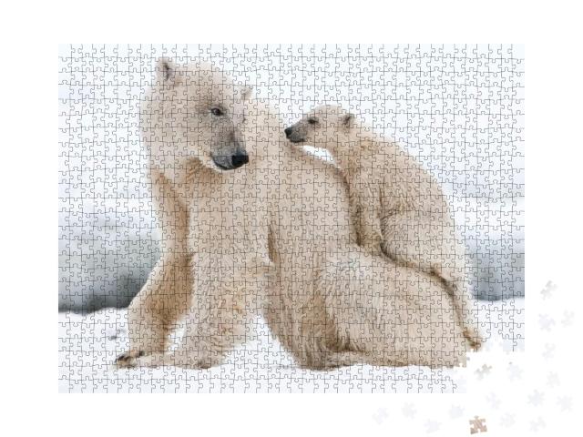 Polar Bear, Northern Arctic Predator. Polar Bear in Natur... Jigsaw Puzzle with 1000 pieces