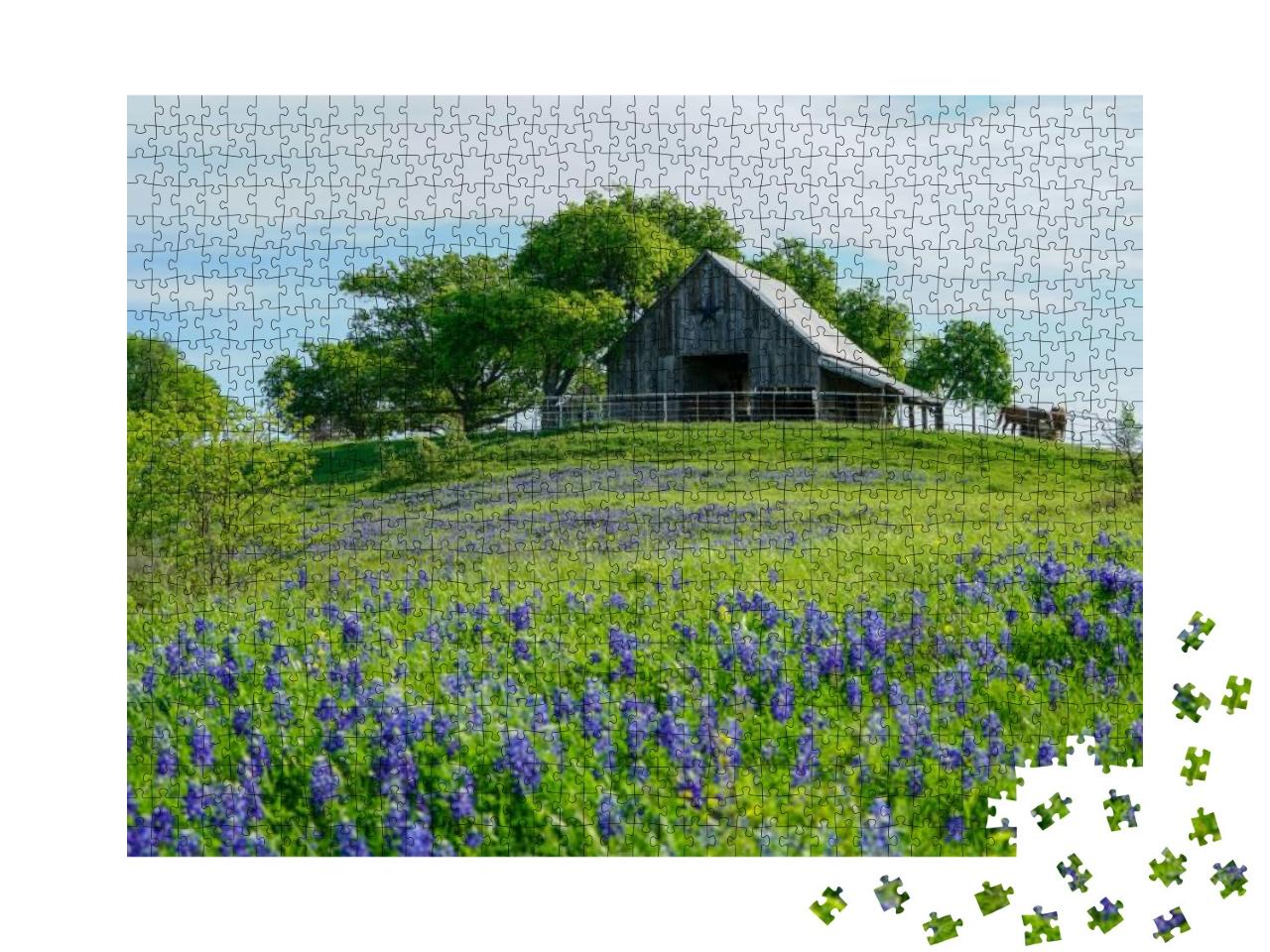 View of Old Barn with Bluebonnet Wildflowers Along Countr... Jigsaw Puzzle with 1000 pieces