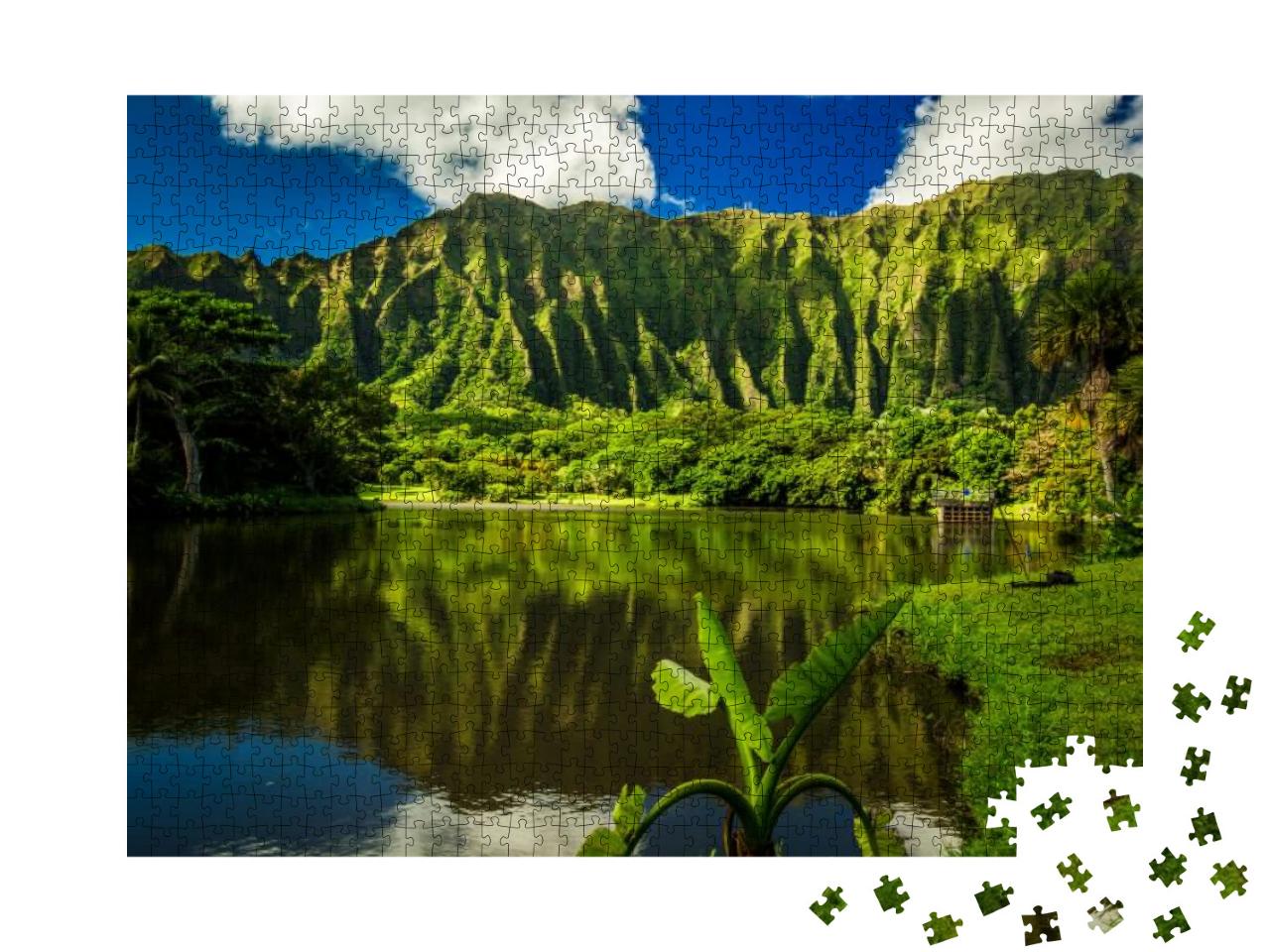 Hoomaluhia Botanical Garden in Kaneohe, Oahu, Hawaii... Jigsaw Puzzle with 1000 pieces