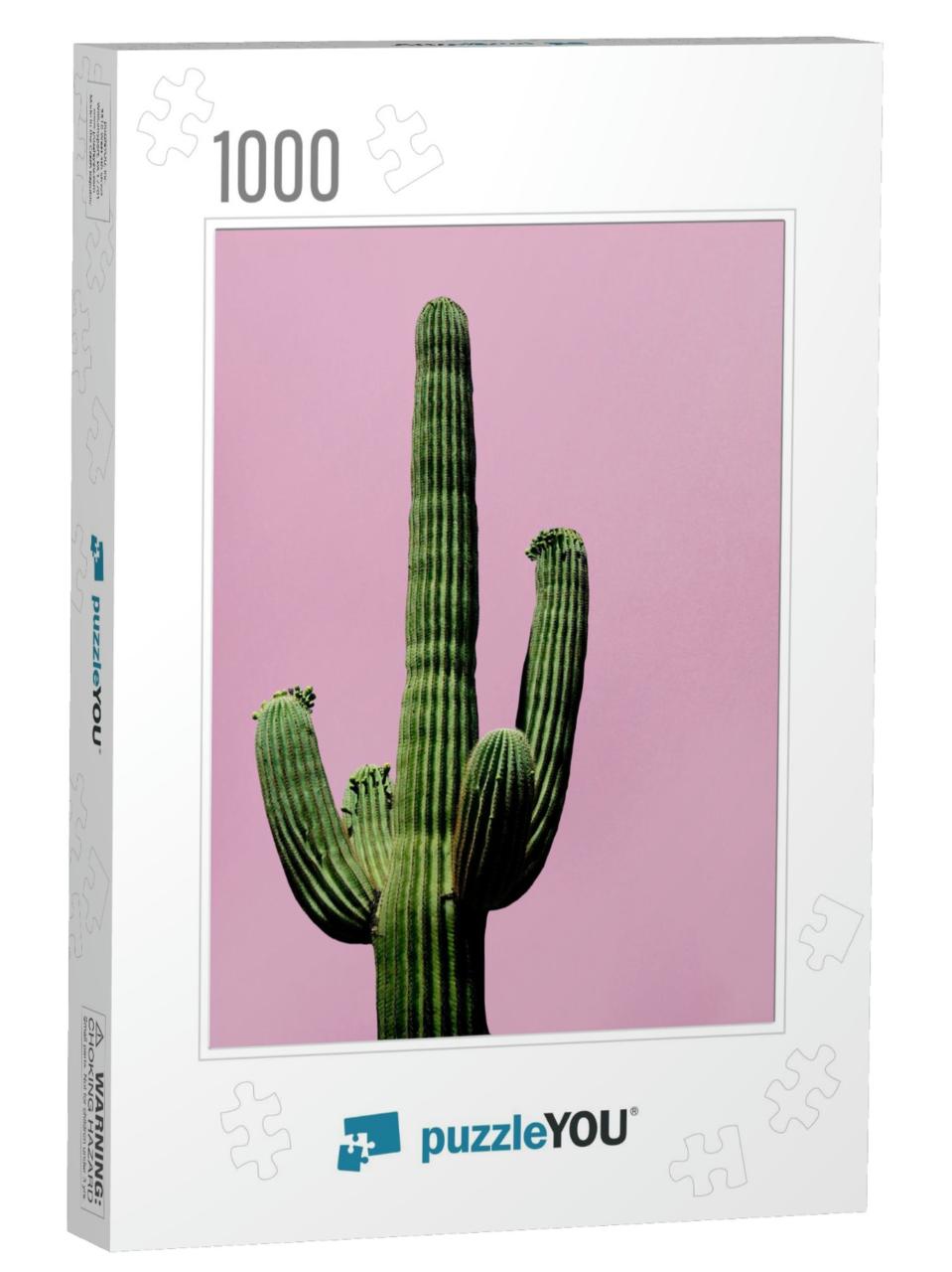 Cactus on the Pink Background Minimal Creative Still Life... Jigsaw Puzzle with 1000 pieces