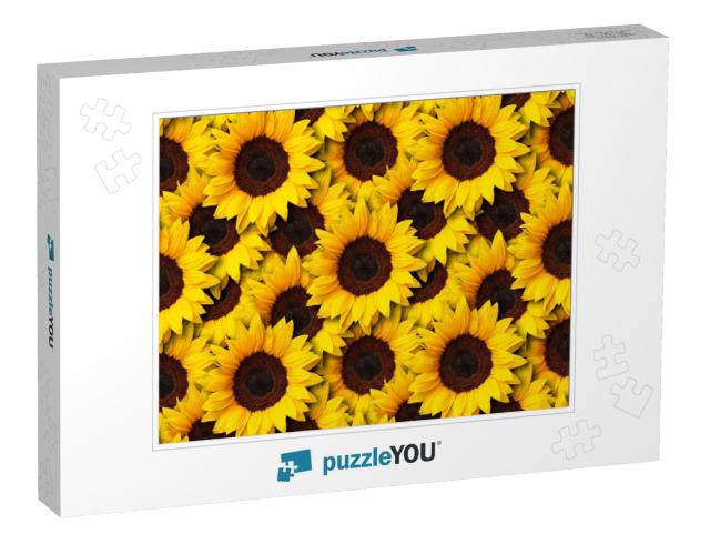 Sunflowers Flowers Seamless Pattern Design Background. Ca... Jigsaw Puzzle