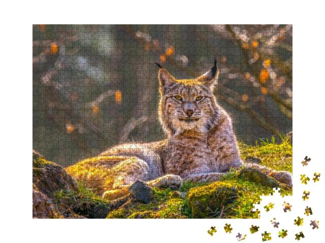 Cute Young Lynx in the Colorful Wilderness Forest... Jigsaw Puzzle with 1000 pieces