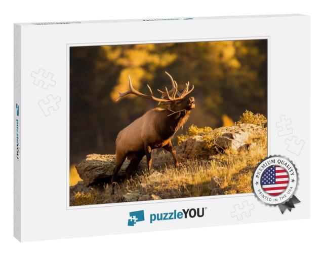 Bull Elk Bugling for Mate in September... Jigsaw Puzzle