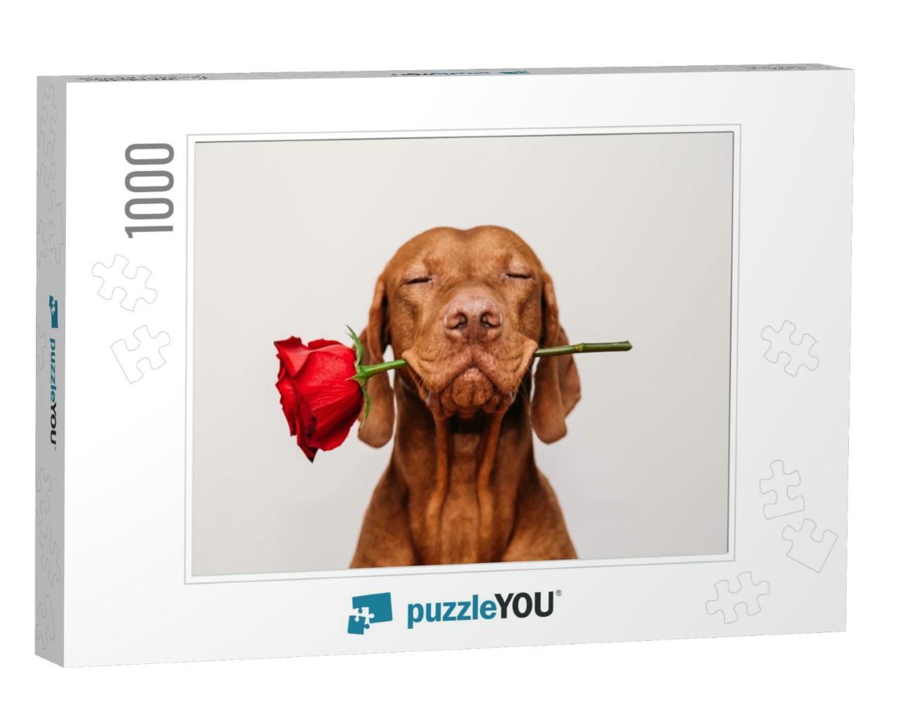 Charming Red-Haired Vizsla Dog with Eyes Closed Ho... Jigsaw Puzzle with 1000 pieces
