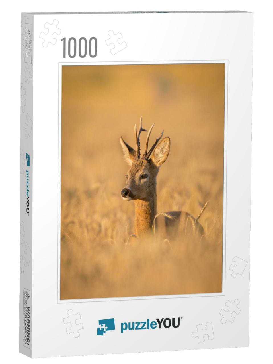 Roebuck - Buck Capreolus Capreolus Roe Deer - Goat... Jigsaw Puzzle with 1000 pieces