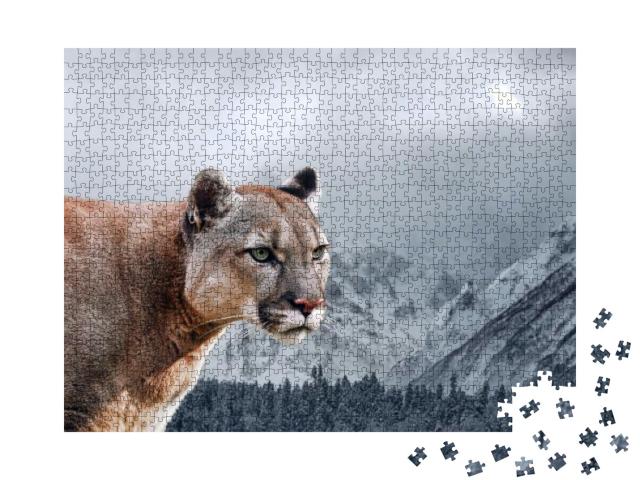 Portrait of a Cougar, Mountain Lion, Puma, Panther... Jigsaw Puzzle with 1000 pieces