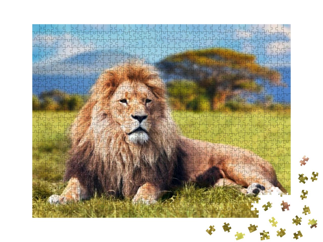 Big Lion Lying on Savannah Grass. Landscape with Characte... Jigsaw Puzzle with 1000 pieces