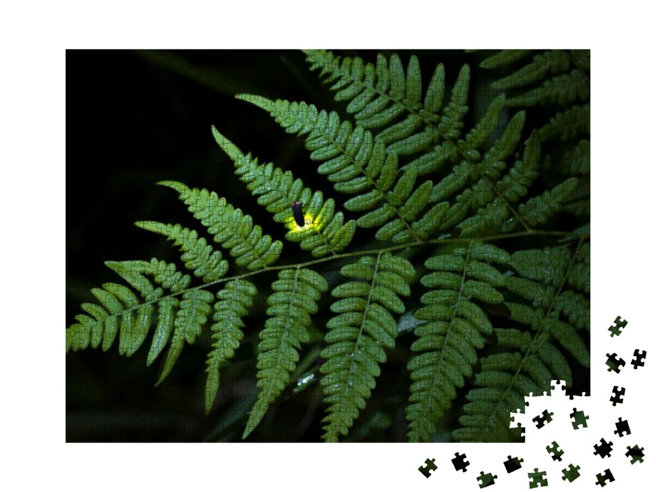 Fireflies Are a Summer Feature of Japan. a Firefly... Jigsaw Puzzle with 1000 pieces