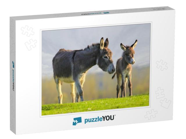 Grey Cute Baby Donkey & Mother on Floral Meadow... Jigsaw Puzzle