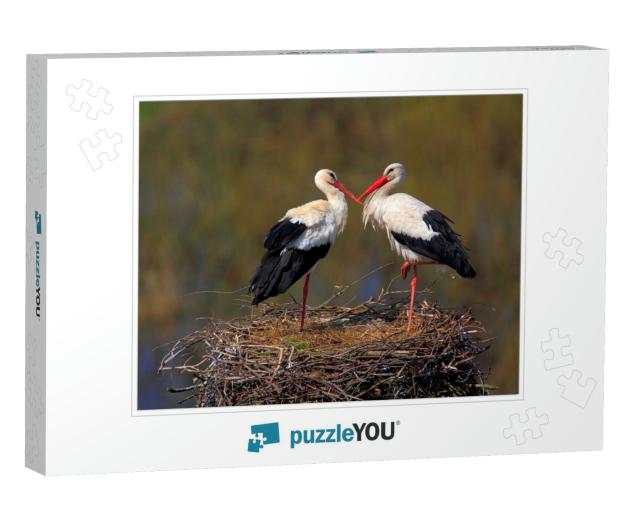 Pair of White Stork Birds on a Nest During the Spring Nes... Jigsaw Puzzle