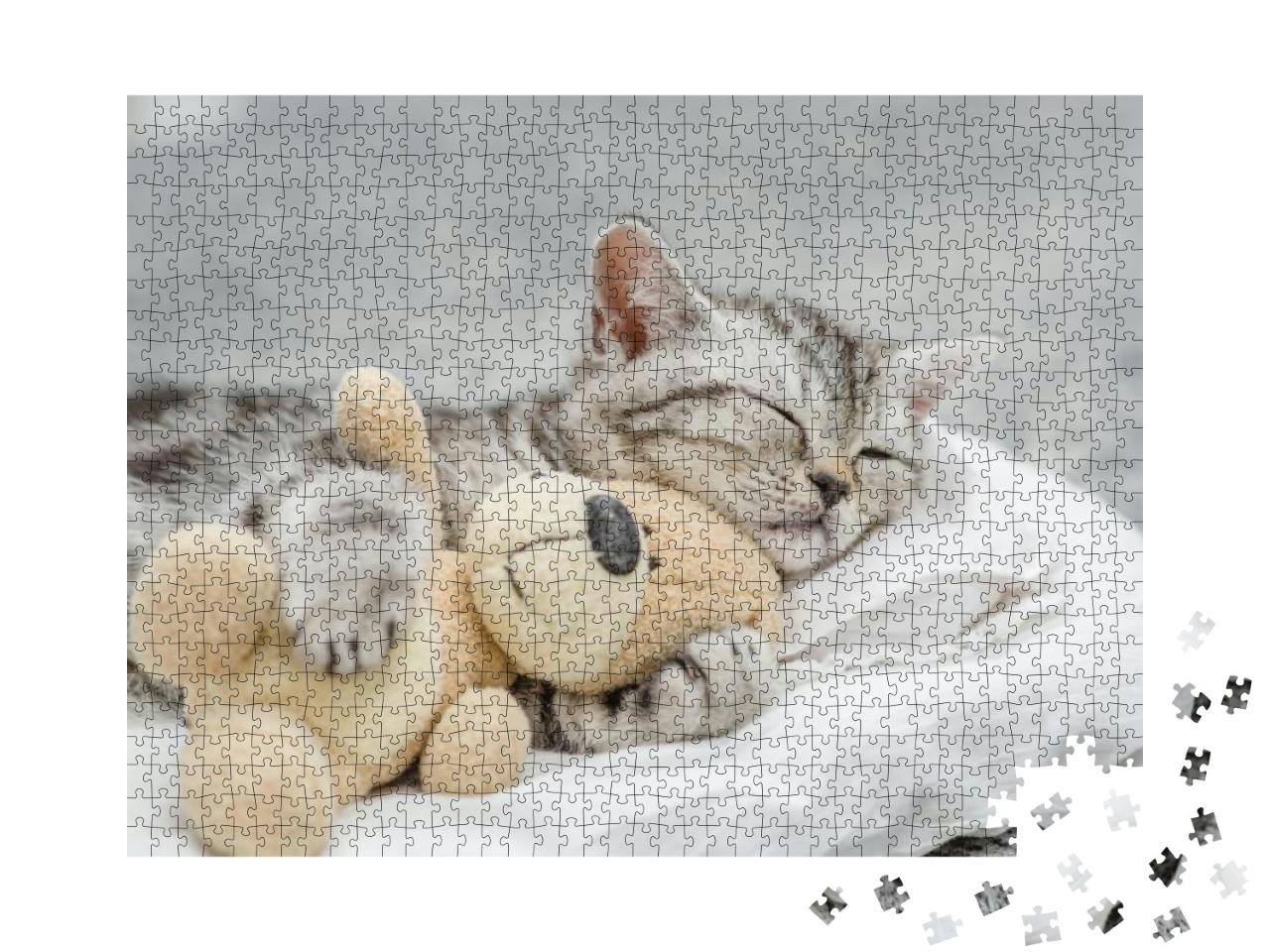 Cute Kitten Sleeping with Toy Bear... Jigsaw Puzzle with 1000 pieces