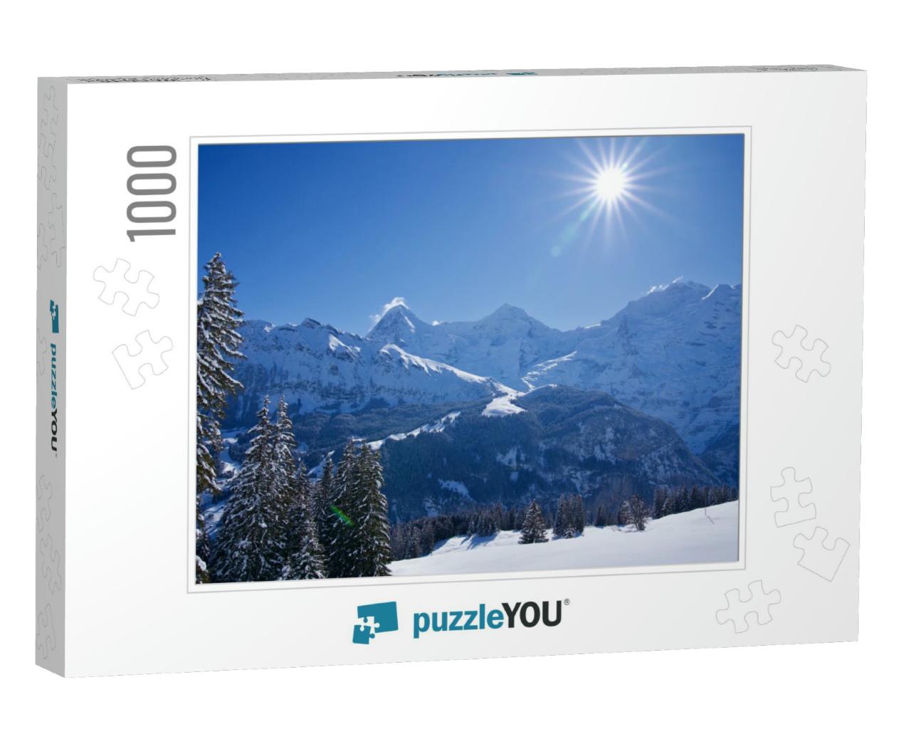 Beautiful Winter Landscape with Star Shaped Sun At Muerre... Jigsaw Puzzle with 1000 pieces