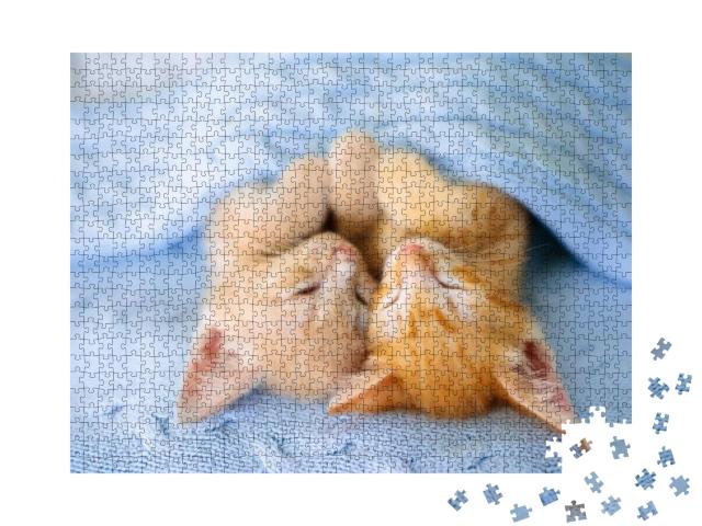 Baby Cat Sleeping. Ginger Kitten on Couch Under Knitted B... Jigsaw Puzzle with 1000 pieces