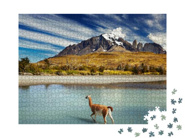 Guanaco Crossing the River in Torres Del Paine National P... Jigsaw Puzzle with 1000 pieces