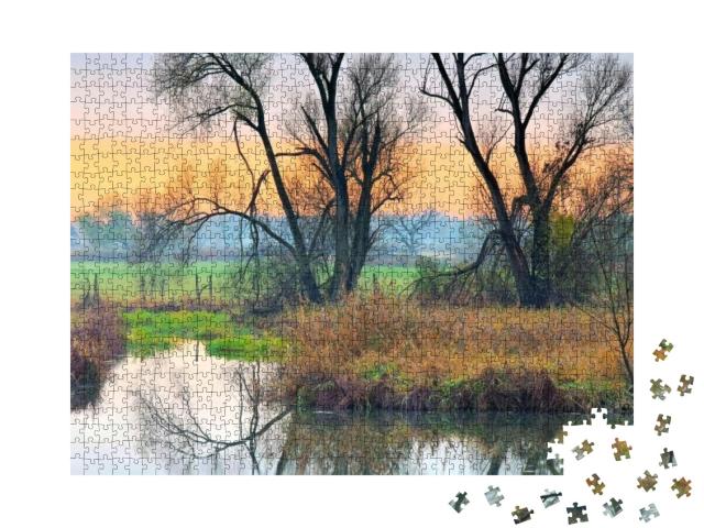 Small Spree Forest in Fall, Brandenburg... Jigsaw Puzzle with 1000 pieces