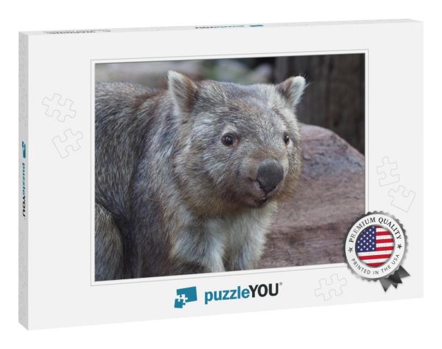 Stocky Robust Powerful Common Wombat in a Cheerful Happy... Jigsaw Puzzle