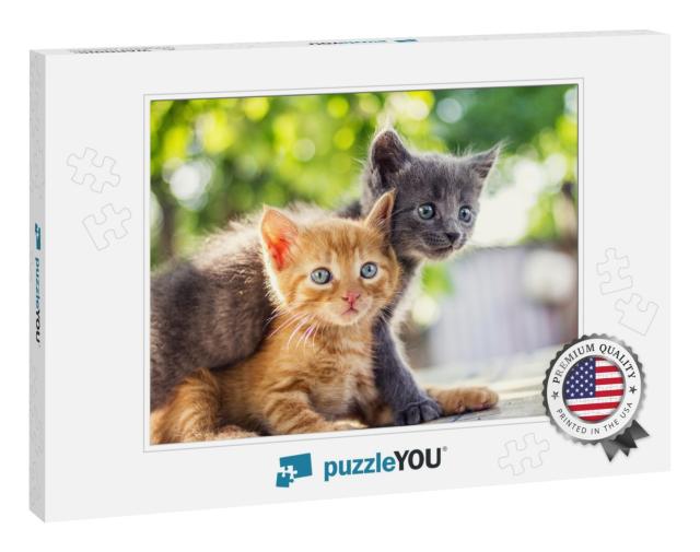 Two Adorable Kittens Playing Together. Kittens Outdoor... Jigsaw Puzzle