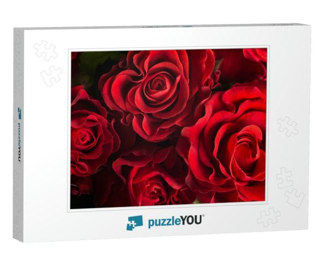 Bouquet of Fresh Roses, Flower Bright Background... Jigsaw Puzzle