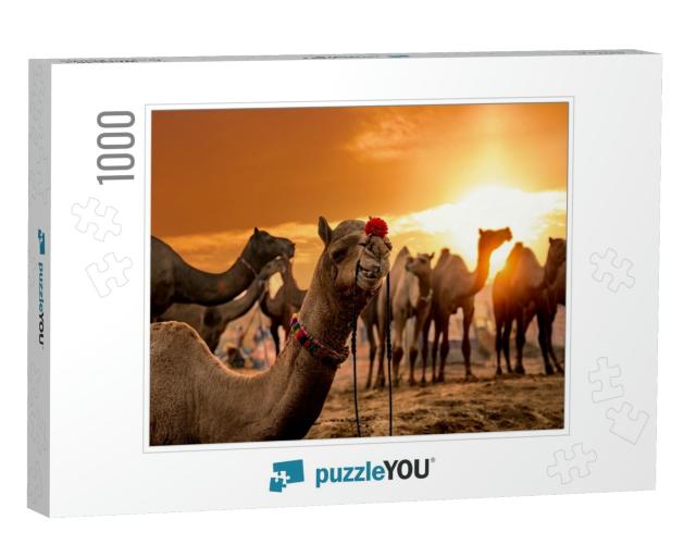 Camels At the Pushkar Fair, Also Called the Pushkar Camel... Jigsaw Puzzle with 1000 pieces