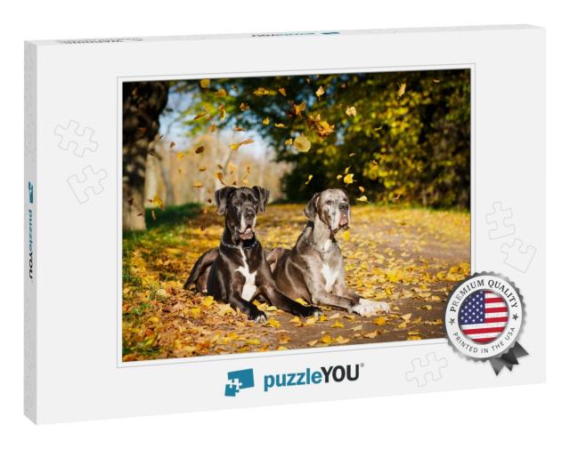 Two Great Dane Dogs... Jigsaw Puzzle